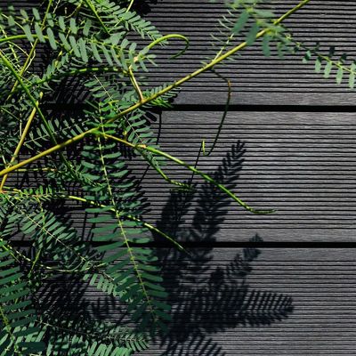 ราคาดี การค้า พลาสติก ผลไม้ Decking กันไฟ WPC Wood Polymer Composite Decking ออนไลน์